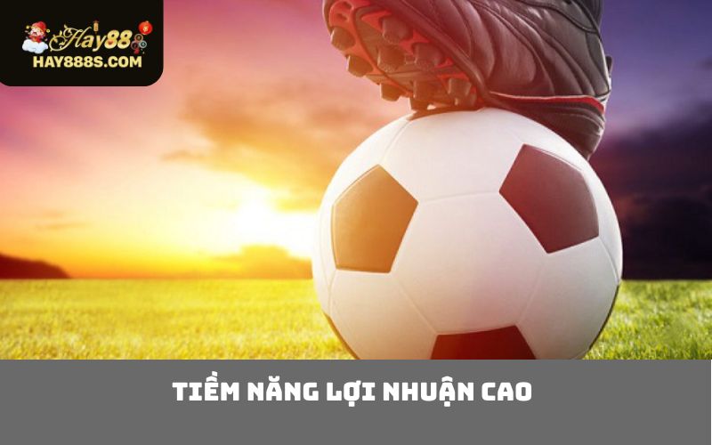 Tiềm năng lợi nhuận cao 