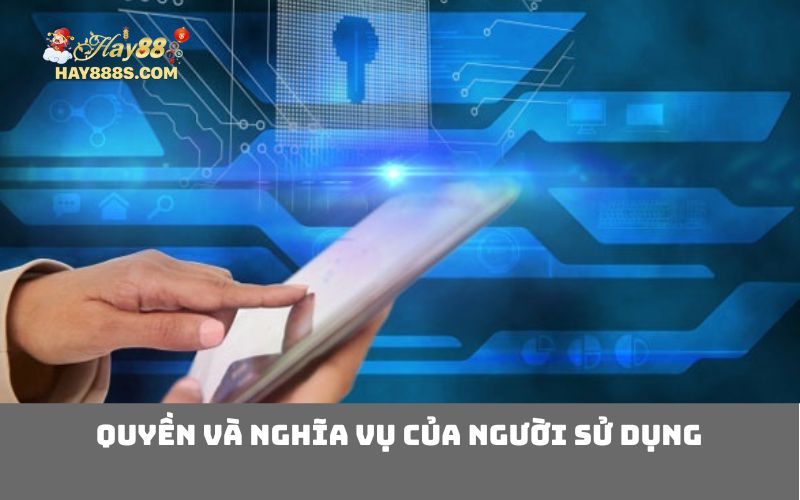Quyền Và Nghĩa Vụ Của Người Sử Dụng